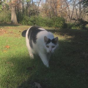 Meet your Posher, Kristina